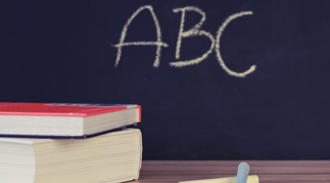The German Education System: Part 1 – Primary and Secondary Schools