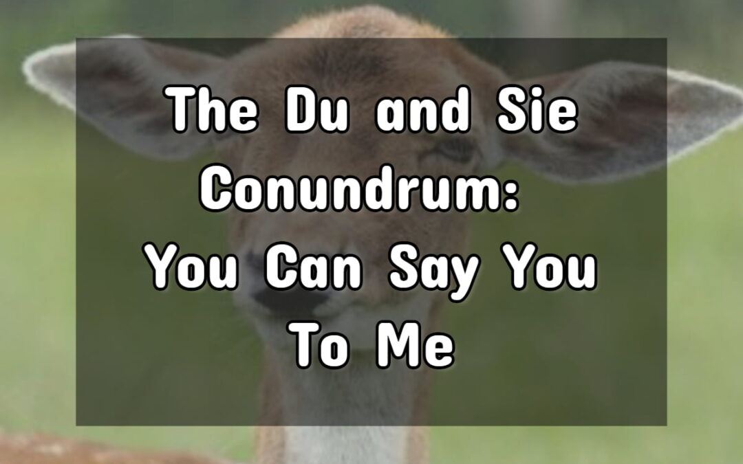 How To Say You in German: When to Use “Du” vs. “Sie”